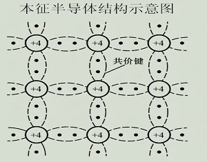 202411252254802.jpg